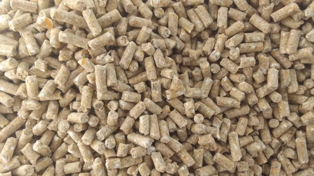 Use of soybeans in livestock and poultry feed