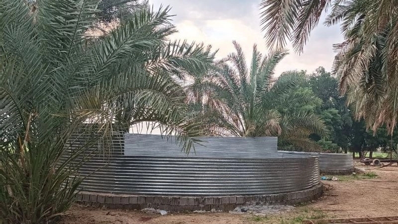 المجمع الزراعي والسمكي والصناعي البحري والزراعة وصناعة الري
