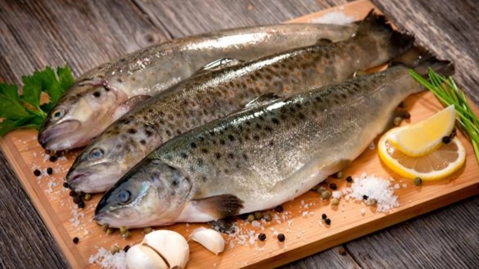 Good fish signs