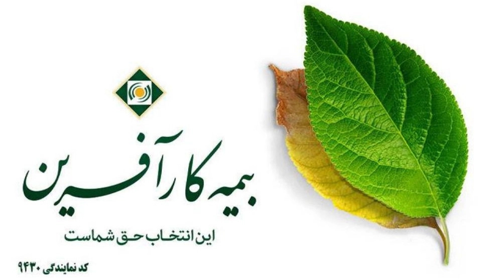 Entrepreneur insurance agent code 9430 in Tehran