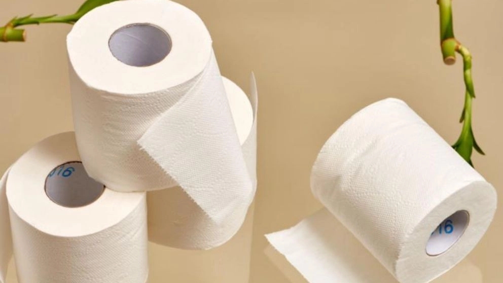 Types and applications of cellulose products