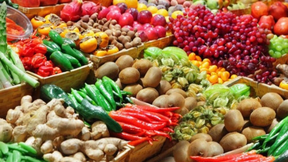 Export of fruits and vegetables of Vakili Trading in Razavi Khorasan