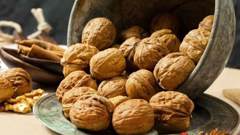 What is the difference between grafted walnut seedlings and seeded walnut seedlings?