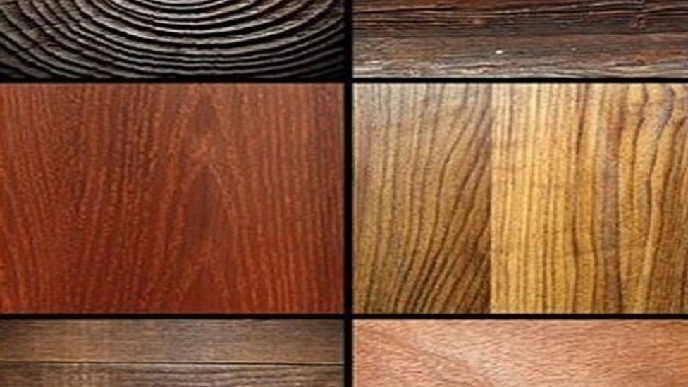 Types of wood used in the furniture industry