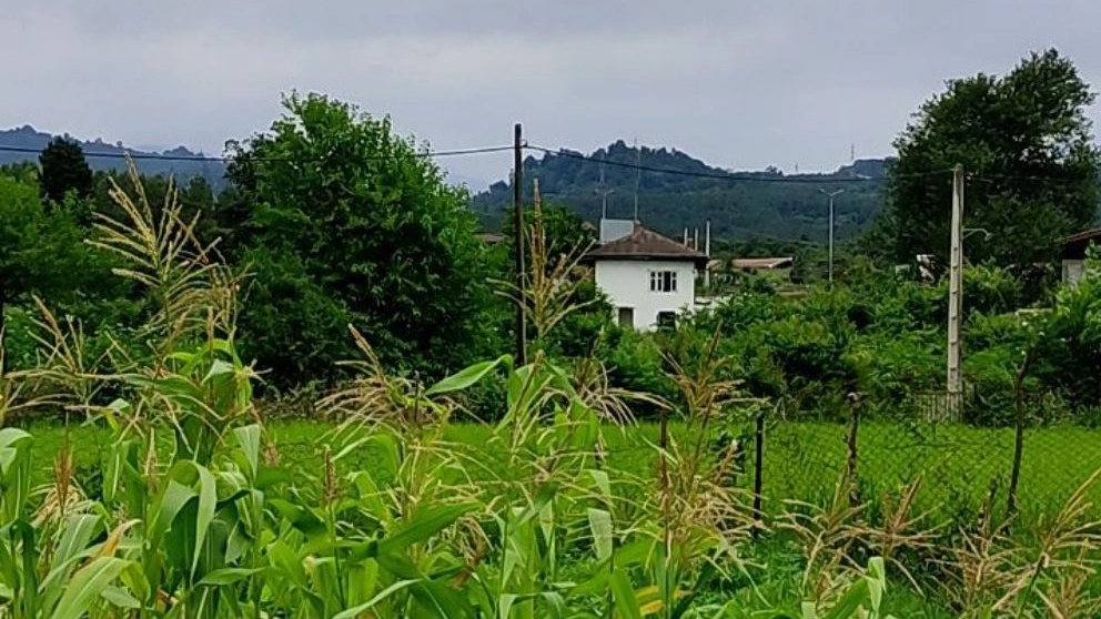 What is the characteristic of special ecotourism accommodation?