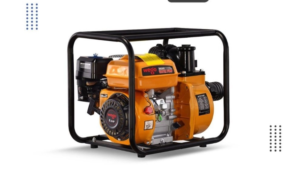 Vigo gasoline pump motor