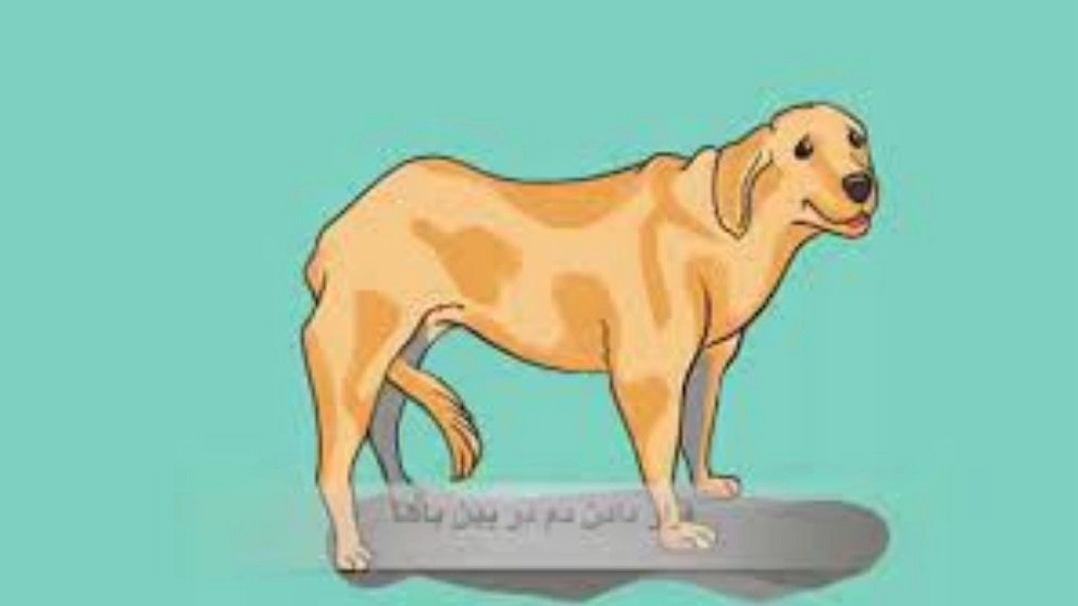 Hero k9 working dog training center in Karaj