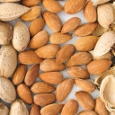 Wholesale sale and export of Bahalu tree almonds in Tehran