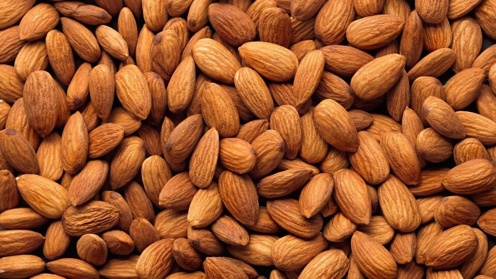 Wholesale sale and export of Bahalu tree almonds in Tehran