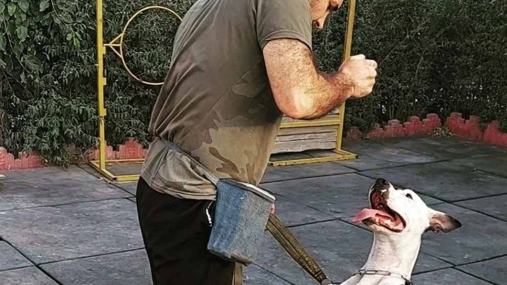Dog trainer in Tehran