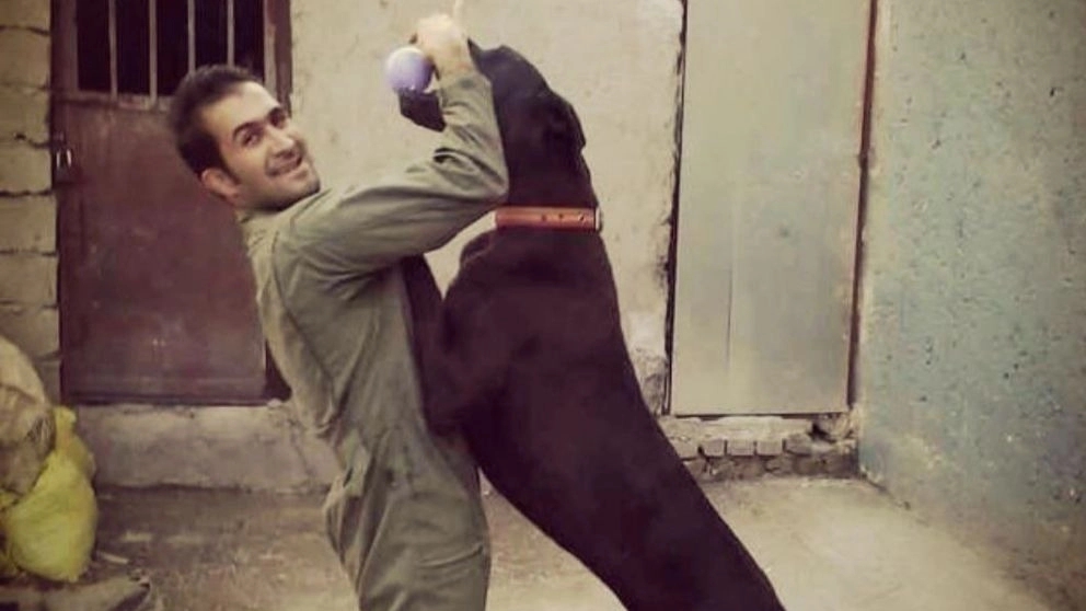 Dog training in Tehran