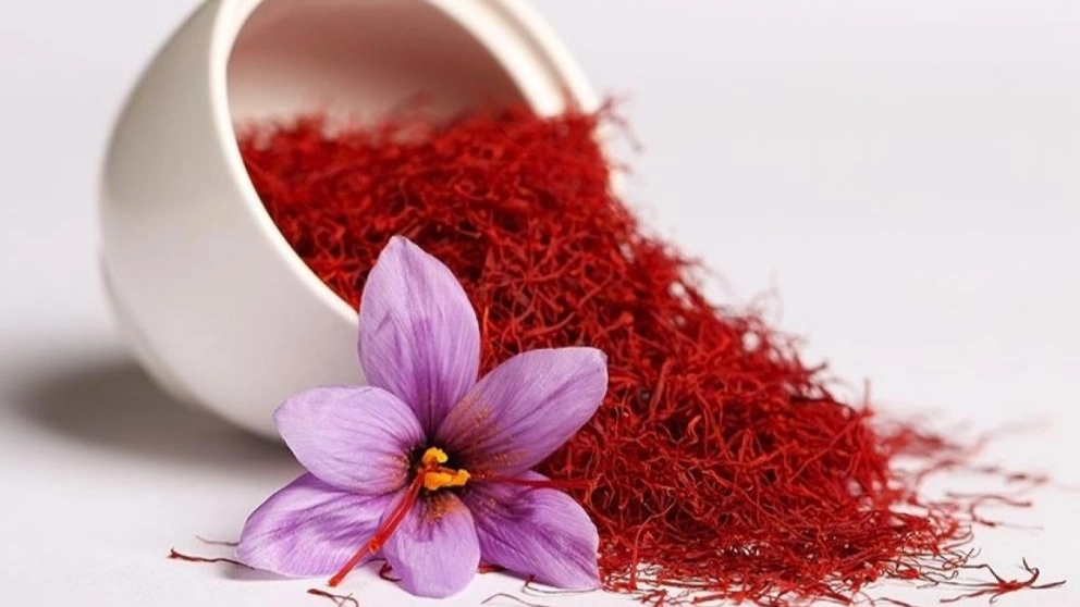 Selling saffron 101 in Shahanjrin, Hamadan