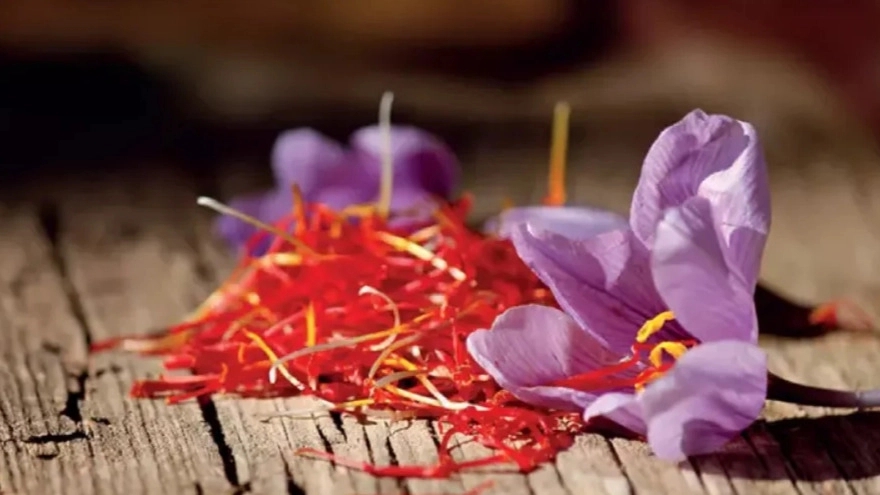 Introducing the most important properties of saffron