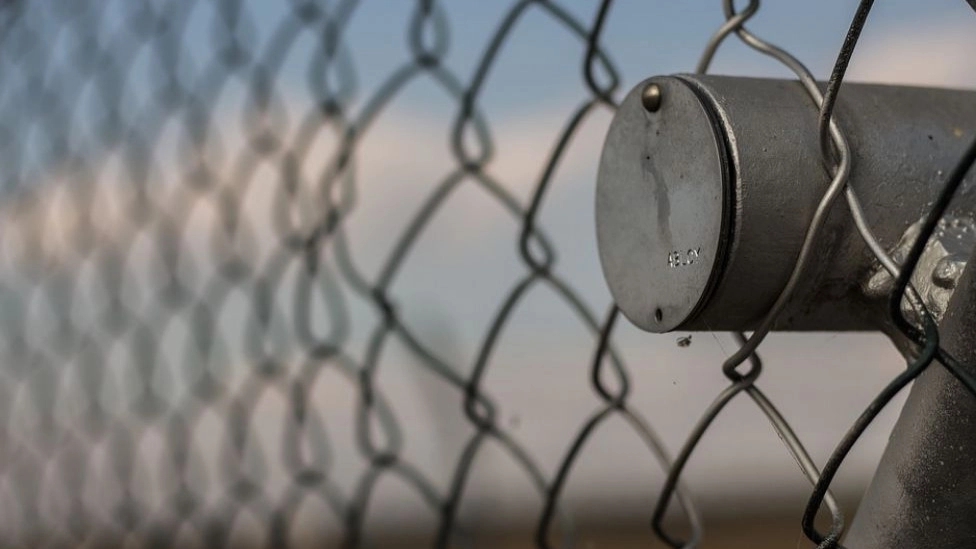 Types of fences