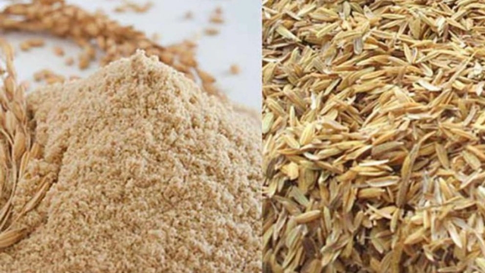 تبدیل شالی به برنج در کارخانه شالیکوبی