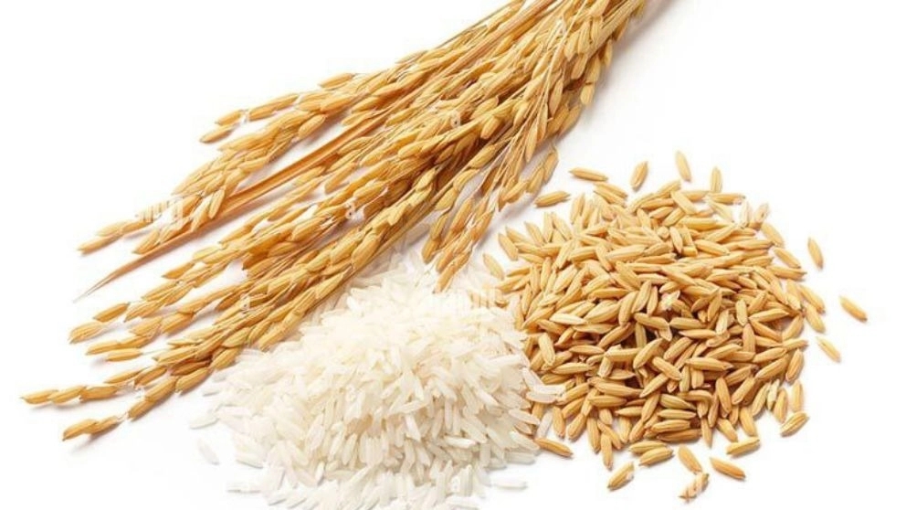 Converting paddy to rice in a rice mill