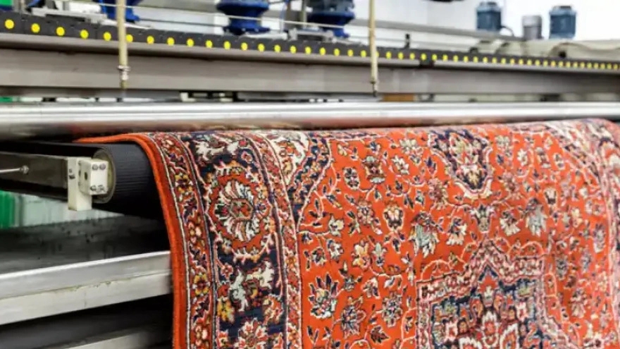 Why should we entrust our carpets to a carpet cleaner?