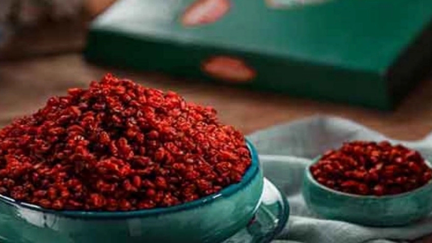 Properties and benefits of barberry
