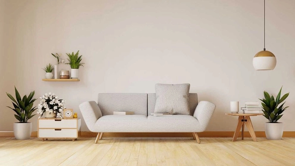 Saeed specialized sofa cleaning in Babol