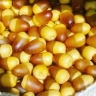 Azar Amir palm date washing and packing company in Tabriz