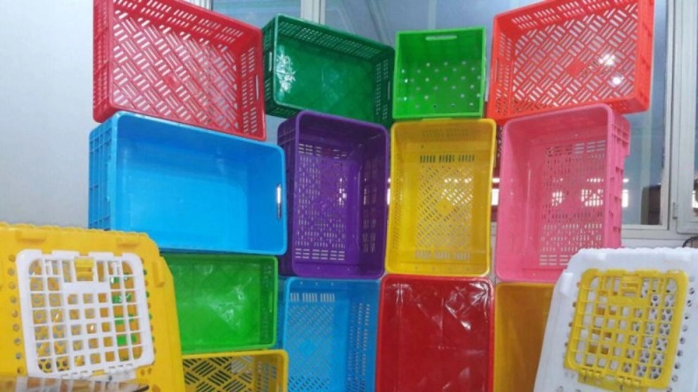 Hasan Mirzadeh single basket fruit basket production in Urmia