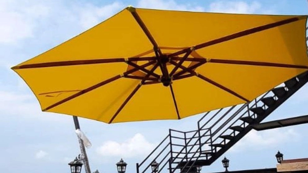 Canopy and how to choose it