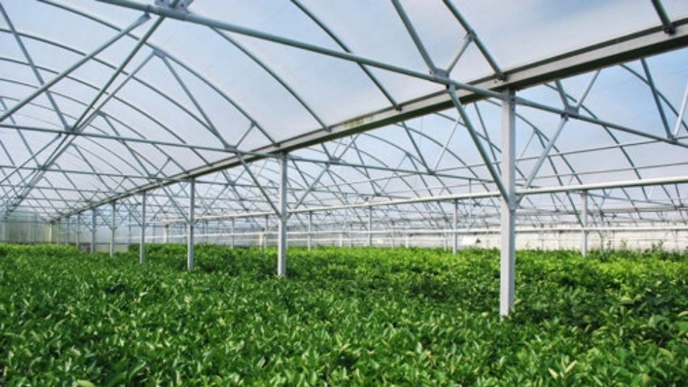 Types of greenhouse structures