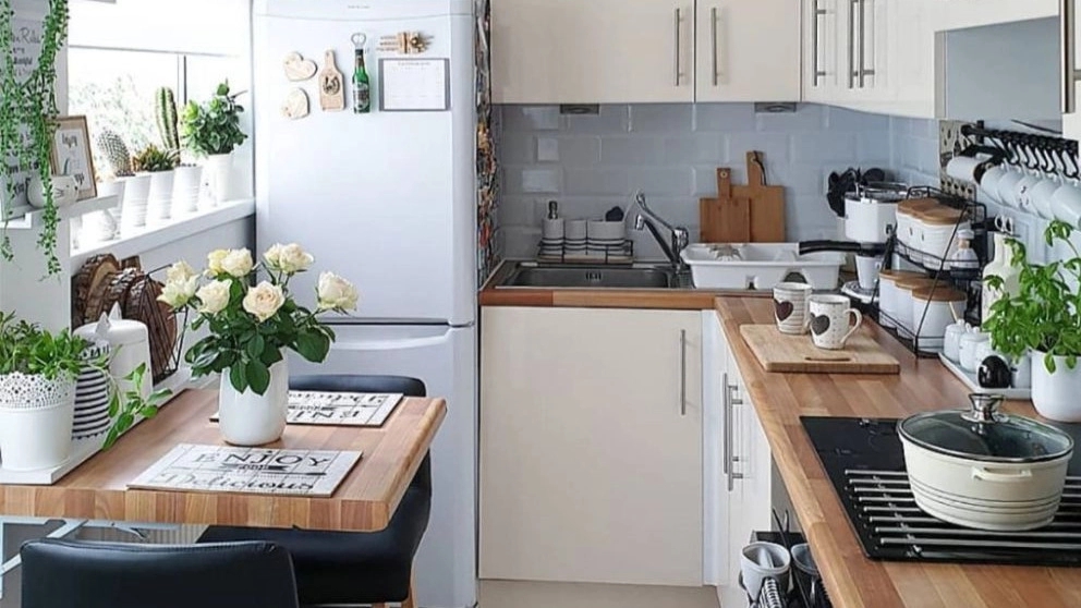 Selling Selma home and kitchen appliances in Rasht Gilan