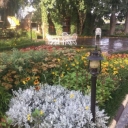 Zardpar photography garden in Hashtgerd