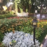 Zardpar photography garden in Hashtgerd