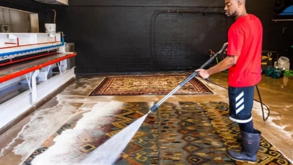 What features should a professional carpet cleaner have?