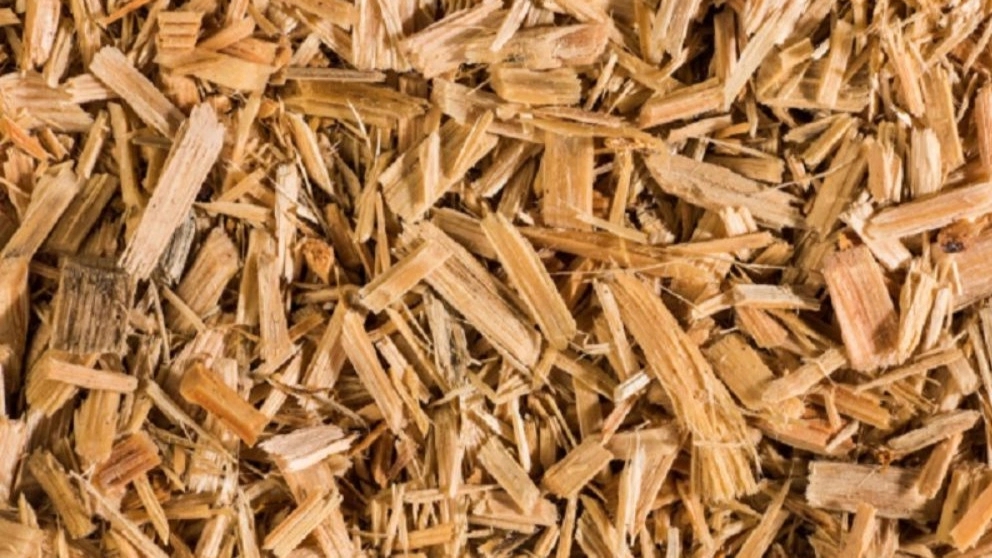 Wood recycling and its uses in industry
