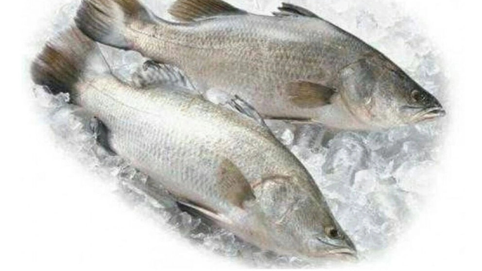 Enough fish