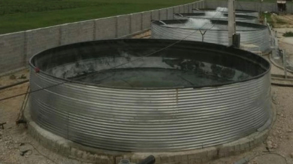 An overview of the evolution of cold water fish production in Iran and the world