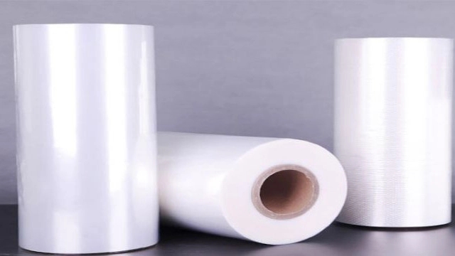 Mahsan Nylon Nylex Company in Gilan