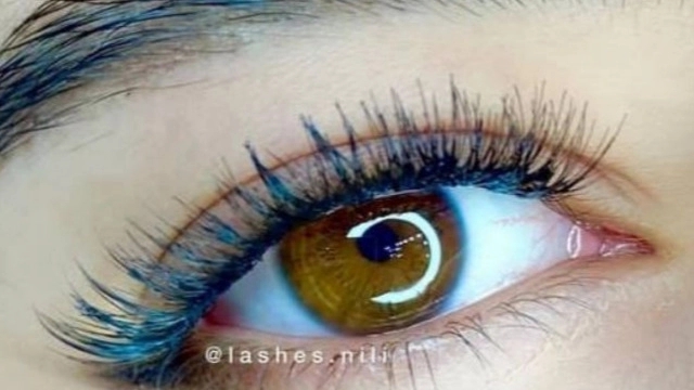 Types of eyelash implants