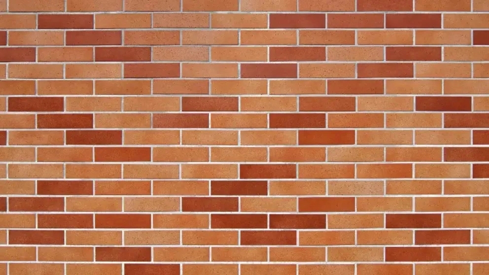 Introduction of different types of bricks