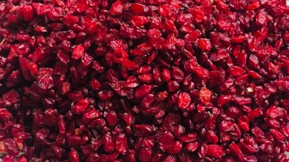 All kinds of barberry products