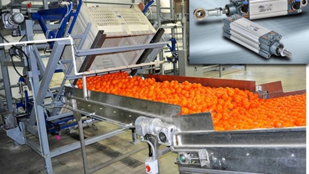 Javid Zafar Machinery Design and manufacture of food industry machinery in Tehran