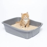 Hosseini granular bentonite cat litter in Tehran