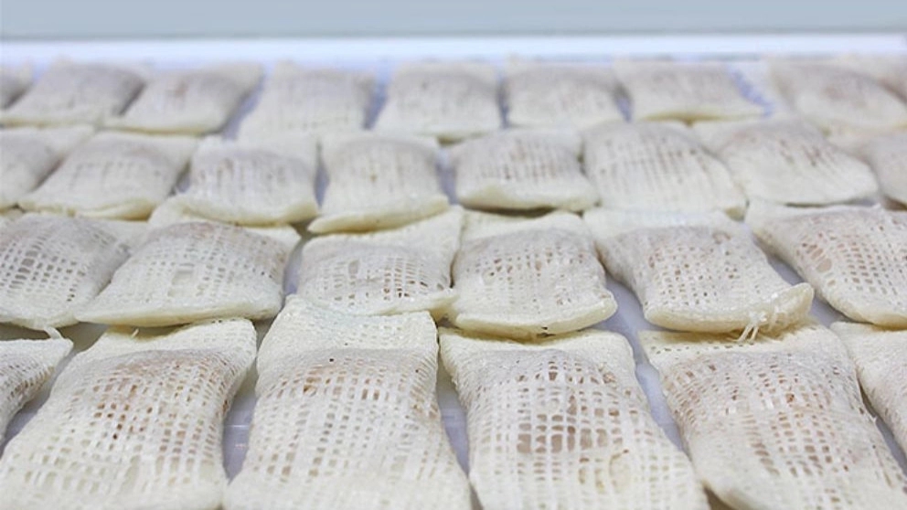 تاریخچه رشته خشکار گیلانی !