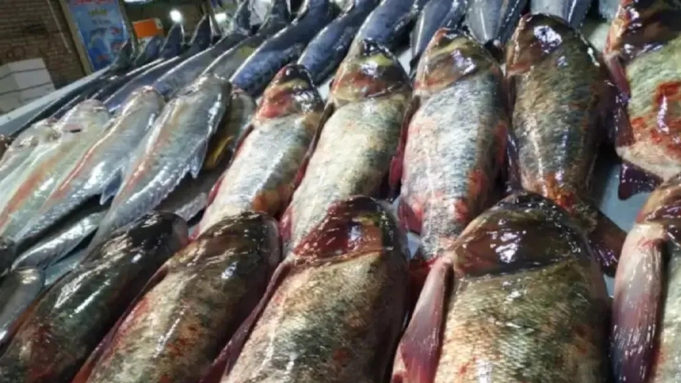 Distribution of marine products of fisheries in Tehran