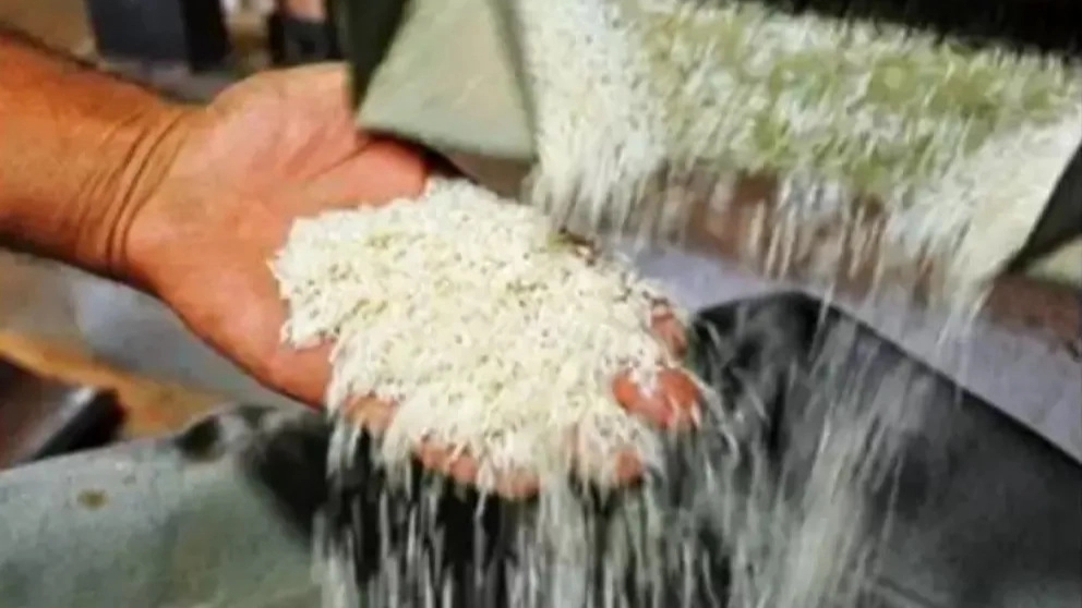 Rafiee Rice Milling and Packaging Factory in Lasht Nesha, Gilan