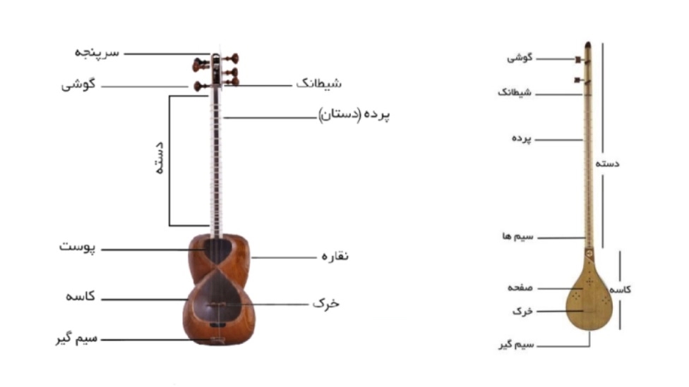 The differences between a string instrument and a three-string instrument