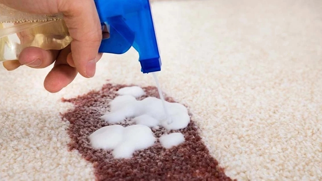 Removing coffee stains from the carpet