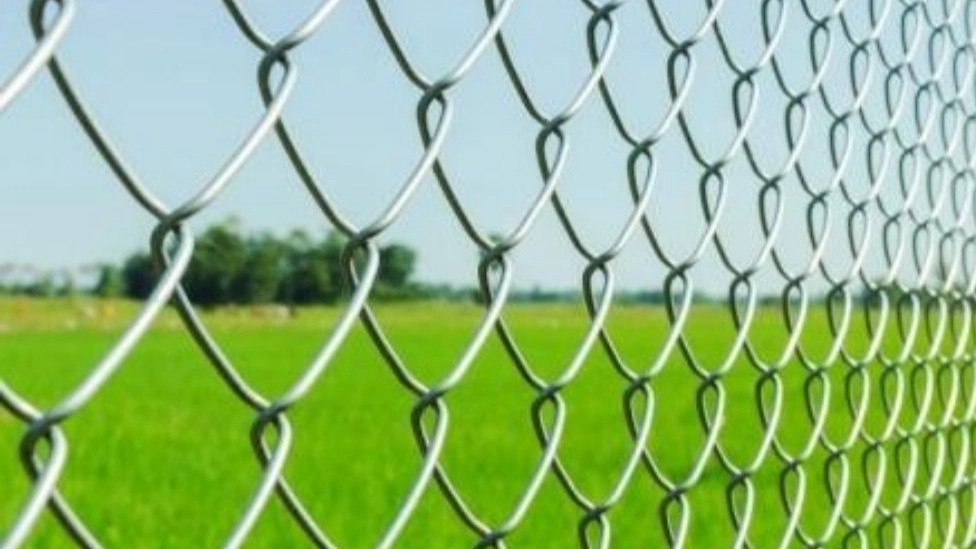 Production and sale of fence netting and gardener's fence in Isfahan