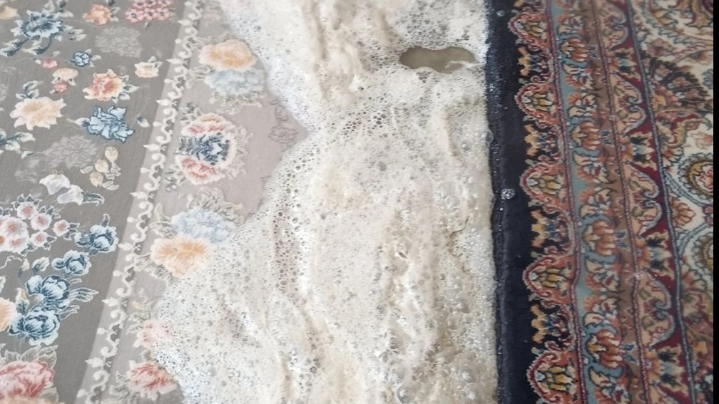 Choosing a good carpet cleaner