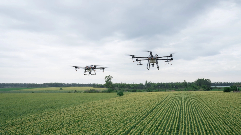 Pesticides and solution spraying of gardens and agricultural fields of Pehbad Sabz in Naqdeh