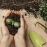 Horticultural and agricultural services of Khodabakhsh, implementation of plowing and spraying irrigation services in Qazvin
