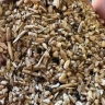 Imri livestock inputs, buying and selling bran, straw, wheat and barley in Golestan